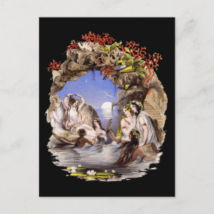 Mermaid Cove Postcard