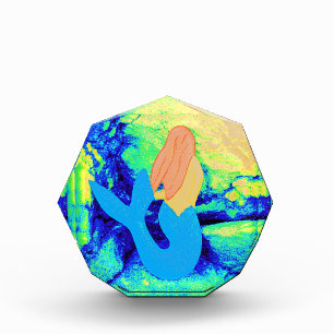 mermaid design acrylic award