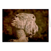 Mermaid Headshot (Front Horizontal)