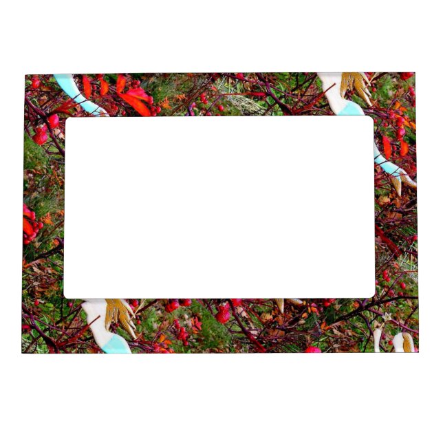 mermaid parts magnetic picture frame (Front)