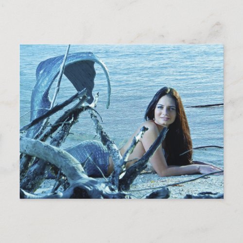 Mermaid Postcard