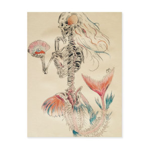 Mermaid Postcard