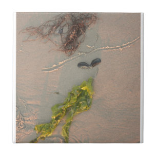Mermaid Tile