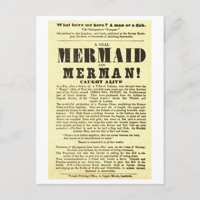 Mermaid Vintage Show Poster Oddity  Postcard (Front)