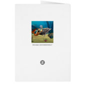 Mermaid with Dolphin Cards (Back)