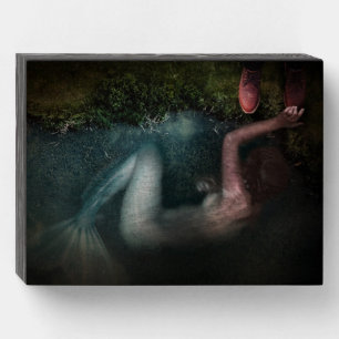 Mermaid Wood Box Sign
