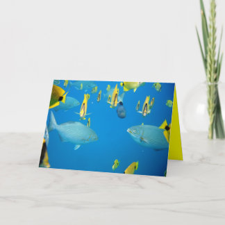 Mermaids Card