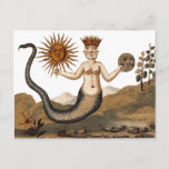 Merman With Three Faces Medieval Symbol Postcard