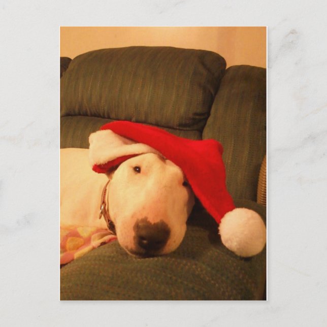 merra christmas santa hat holiday postcard (Front)