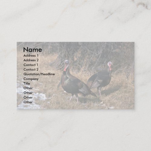 Merriams wild turkeys, gobblers business card templates