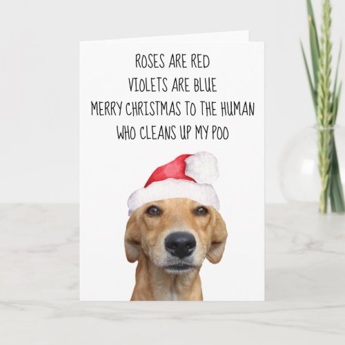 Merrry Christmas from the Dog Funny Card