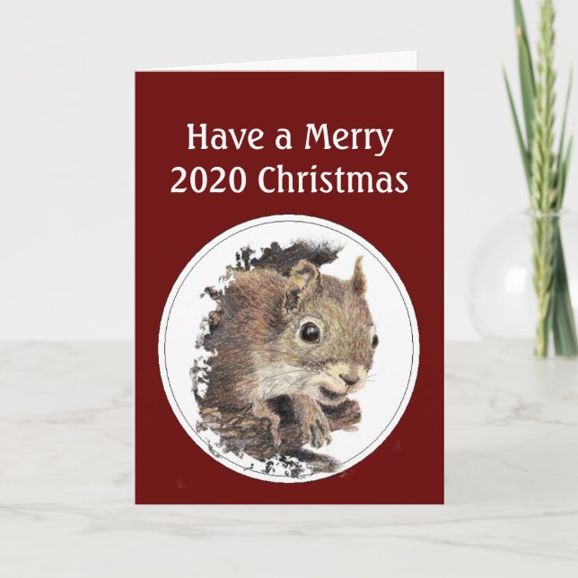 Merry 2020 Christmas In Spite of the Nuts!  Humor Holiday Card (Front)
