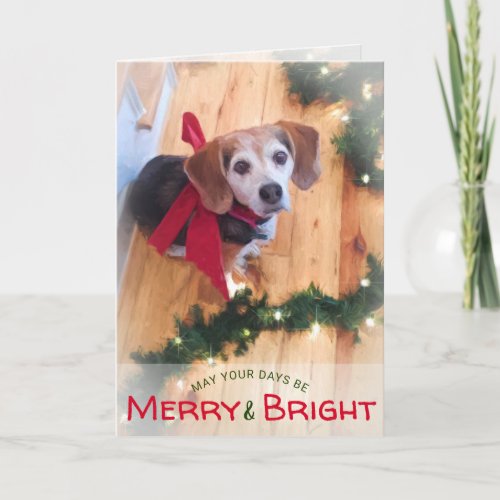 Merry and Bright Beagle Dog Red Bow Christmas Holiday Card