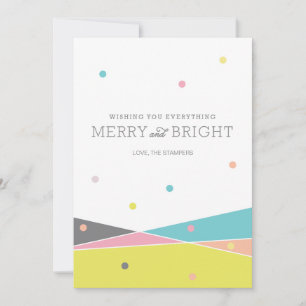 Merry and Bright Everything Holiday Card