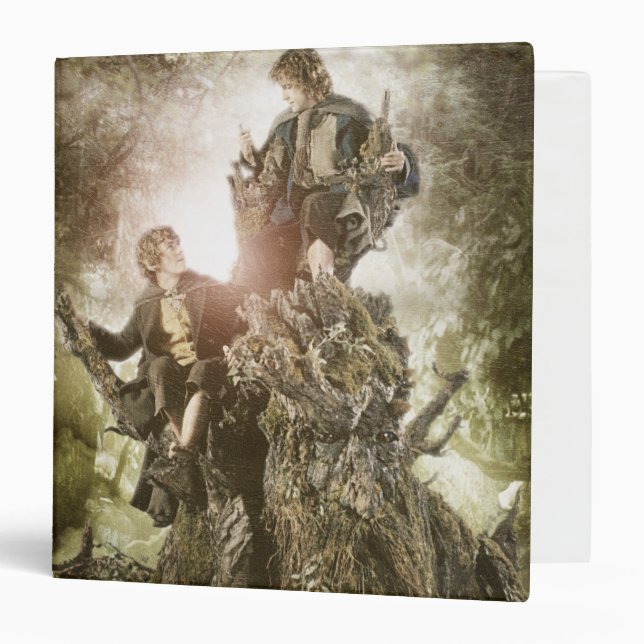 Merry and Peregrin on Treebeard Binder (Front/Inside)