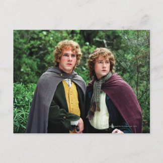 Merry and Peregrin Postcard