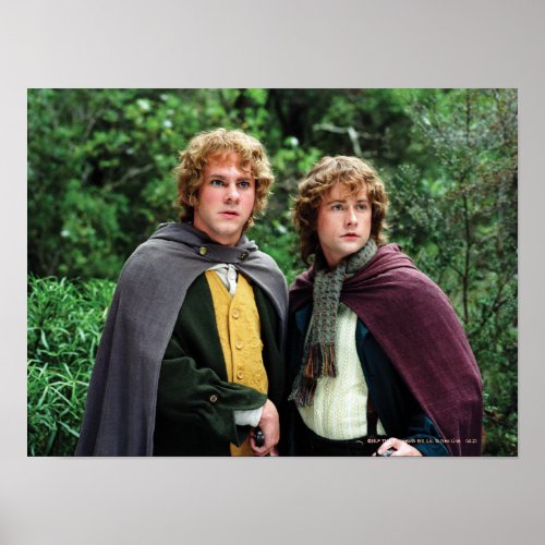 Merry and Peregrin Poster