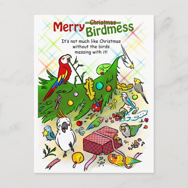 Merry Birdmess Holiday Postcard (Front)