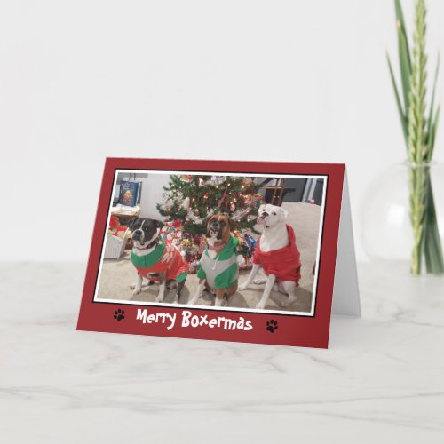 Merry Boxermas Boxer Dog Christmas Holiday Card