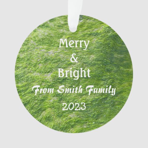 Merry  Bright Christmas Custom Name Sea Moss Gift Ornament