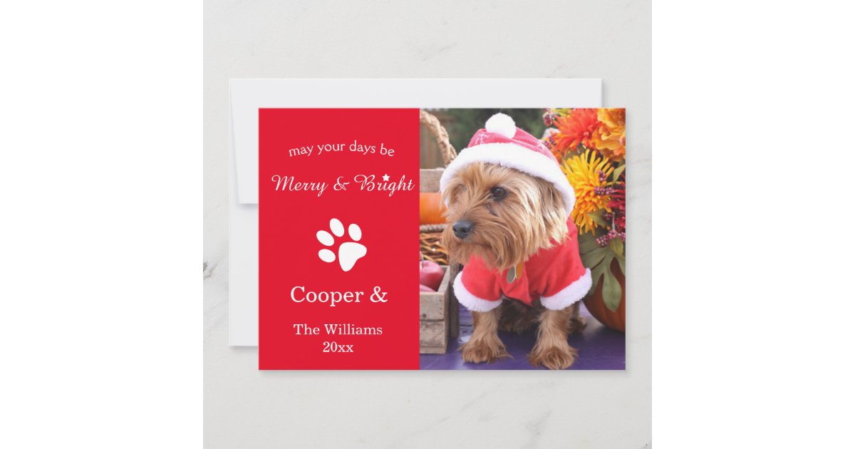 Merry Bright Custom Christmas Pet Photo Card Zazzle Bright Custom Christmas Pet Photo Card