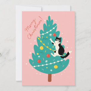 Merry Catmas - A Purr-fect Christmas Climb Holiday Card