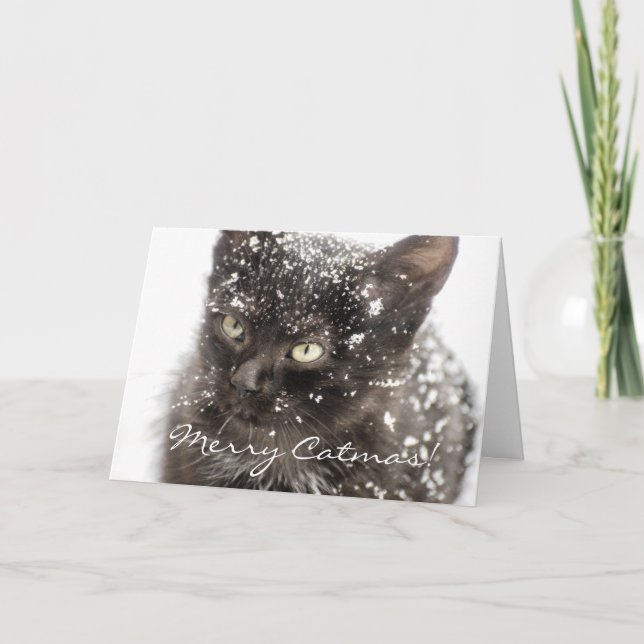 Merry Catmas Cat Christmas Greeting Card (Front)