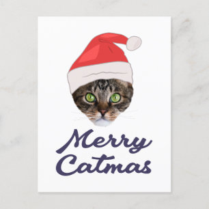 Merry Catmas, Christmas Cat Santa hat Invitation Postcard