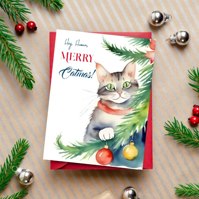 Merry catmas Christmas greetings for cat people Postcard (Merry catmas Christmas greeting postcard for cat people cute green eyed cat peeping by  tree)