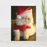Merry Catmas Holiday Card at Zazzle