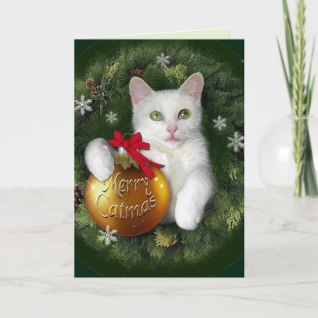Merry Catmas Holiday Card (Front)