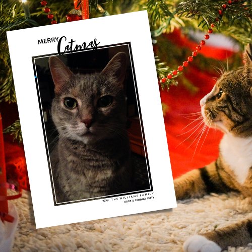 Merry Catmas Pet Photo Holiday Card