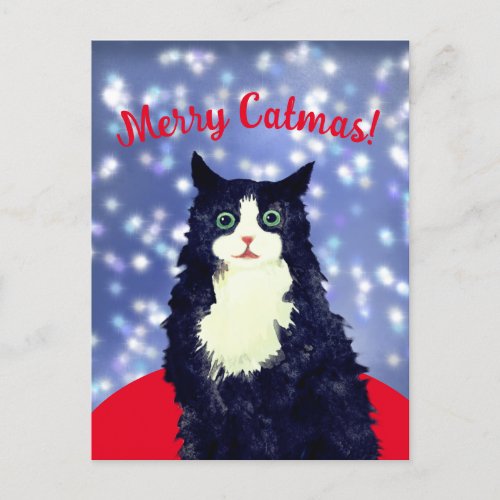 Merry Catmas Postcard