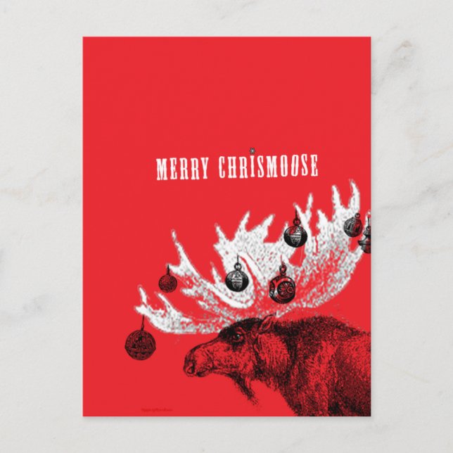 merry chrismoose holiday postcard (Front)