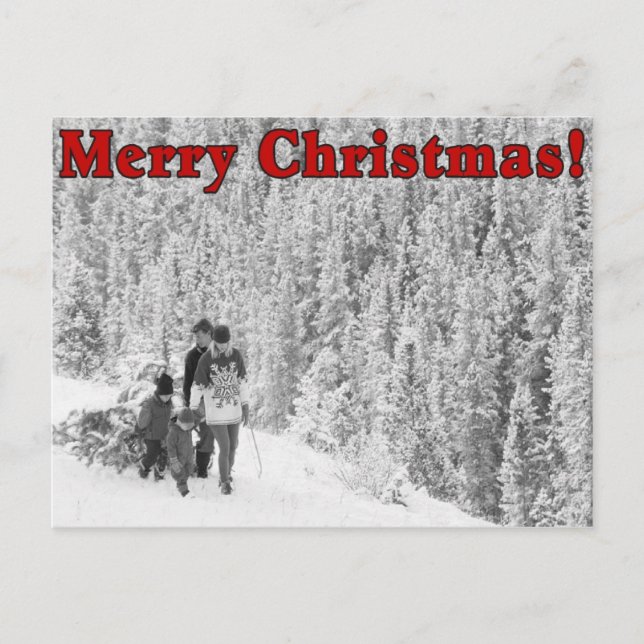 Merry Christmas08 Holiday Postcard (Front)