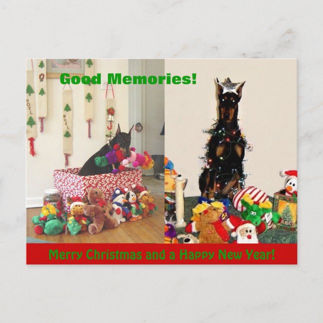 Merry Christmas 2011 Holiday Postcard (Front)