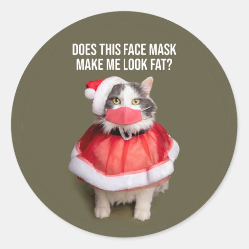 Merry Christmas 2020 Fat Cat in Face Mask Classic Round Sticker