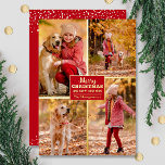 Merry Christmas 4 Photo Collage Gold Foil Holiday Card<br><div class="desc">Real foil Christmas greeting cards feature your last name and the greeting Merry Christmas and Happy New Year in chic real gold foil lettering on red with your favorite 4 photo collage bordered in real foil on the front and your first names on the back. The Live Design Service can...</div>