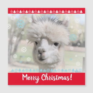 Merry Christmas Alpaca Magnetic Card
