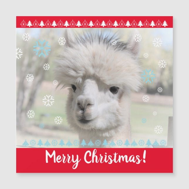 Merry Christmas Alpaca Magnetic Card (Front)