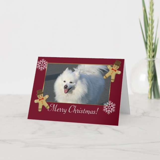 Merry Christmas American Eskimo dog Holiday Card (Front)