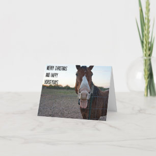 Merry Christmas and Happy Horseydays Holiday Card