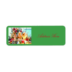 Merry Christmas angels trumpeting Label