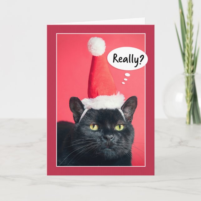 Merry Christmas Annoyed Cat in Santa Hat Humor Holiday Card (Front)