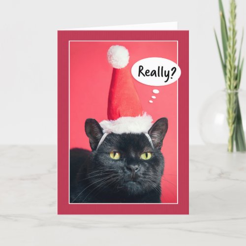 Merry Christmas Annoyed Cat in Santa Hat Humor Holiday Card