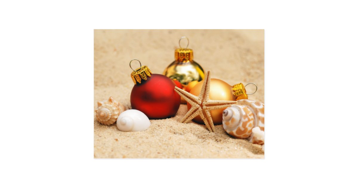 Merry Christmas At the Beach Postcard | Zazzle.com