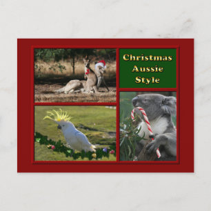 Merry Christmas Aussie Animals Holiday Postcard