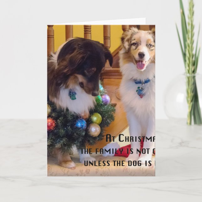 Merry Christmas Aussies Holiday Card (Front)