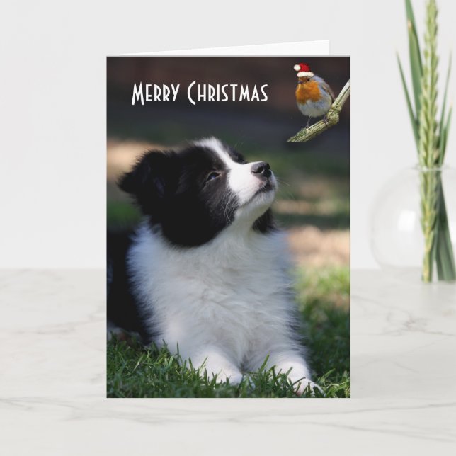 Merry Christmas Baby Border Collie Holiday Card (Front)