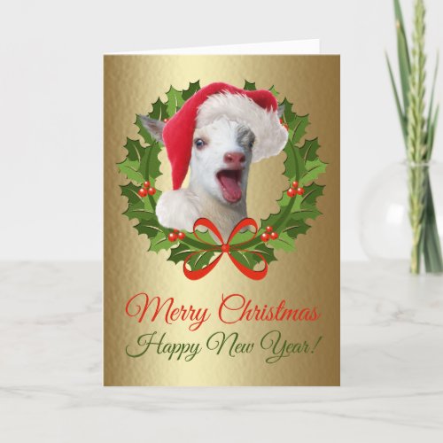 Merry Christmas Baby Nigerian Dwarf Goat Kid Holiday Card